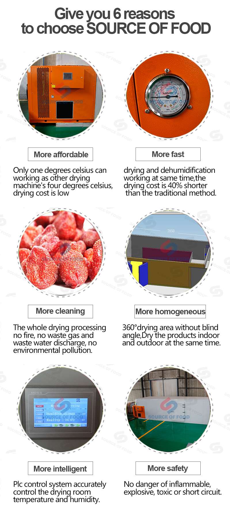 The characters of our strawberry dryer